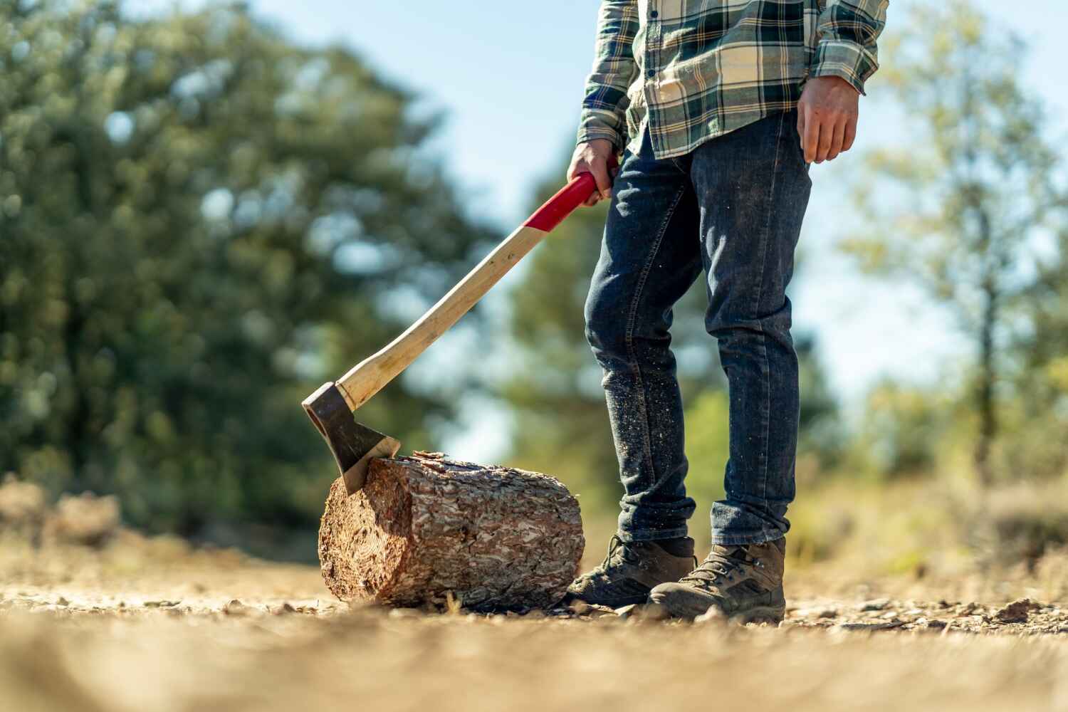 Shoreacres, TX Tree Service Company